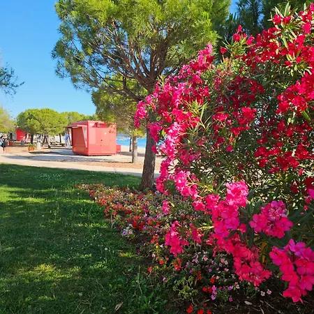 Апартаменты Anne *