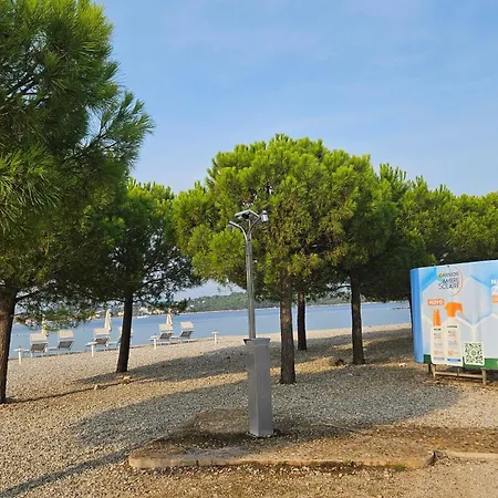 Anne Апартаменты