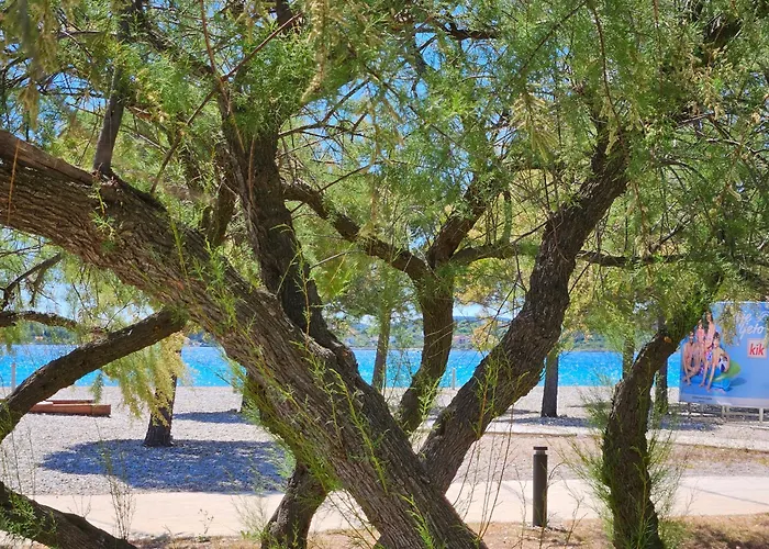 Anne 아파트 스리마